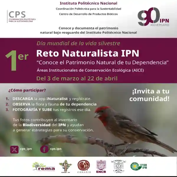 Reto Naturalista IPN